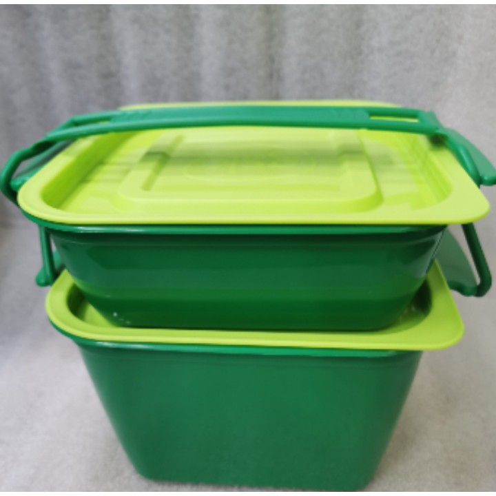 Elianware 2 Layer Tupperware(3 Colours)(GSK) | Shopee Malaysia