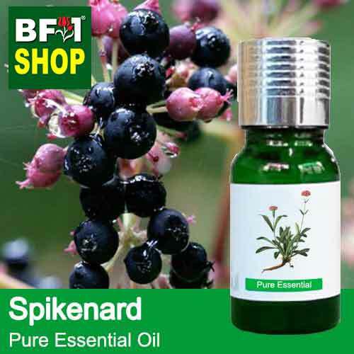 Pure Essential Oil Eo Spikenard Essential Oil 10ml Shopee Malaysia 1650