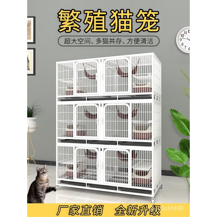 Shopee on sale cat cage