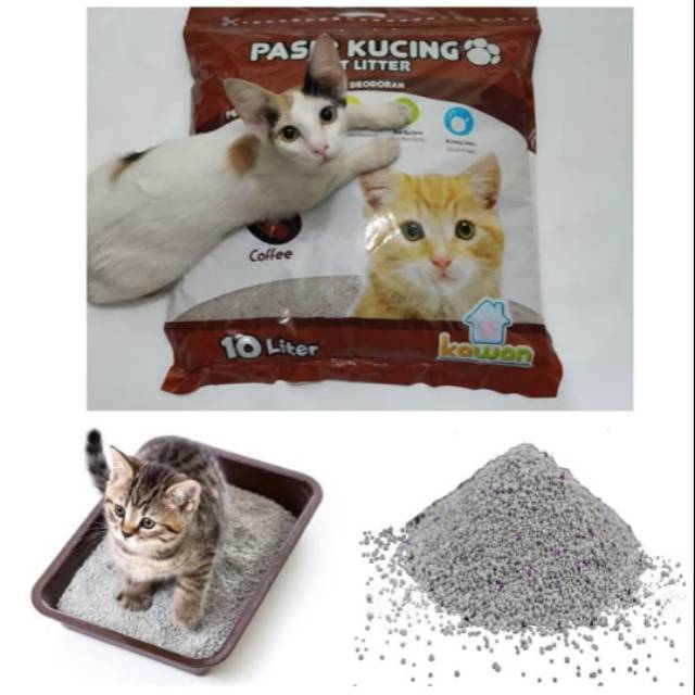 Bentonite cat litter 10l Clump Sand (For Hamsters And Cats)- COFFEE ...