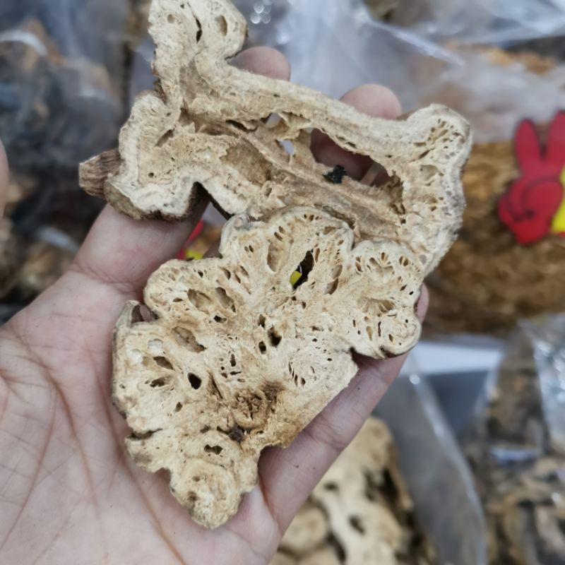 白术100g补血健脾养胃另售川弓白芍当归茯苓 | Shopee Malaysia