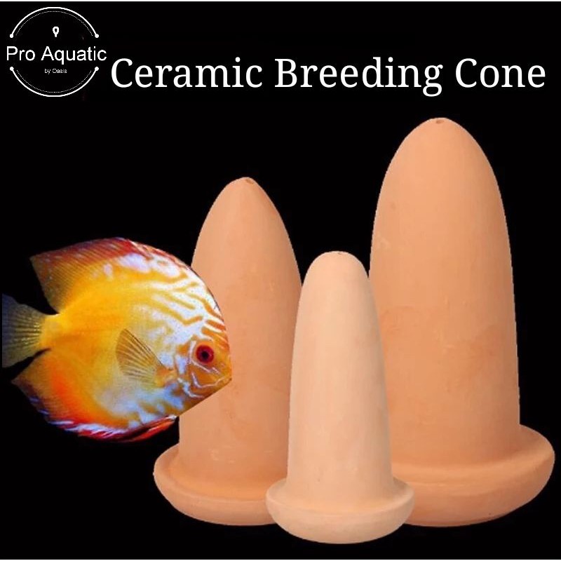 🔥Ready Stock🔥Ceramic Breeding Cone for Discus Fish and Angelfish Fish ...