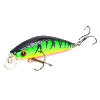 Fishing Lures Minnow Lures Topwater Baits for Bass Trout Salmon Saltwater/Freshwater  Minnow Fishing Baits