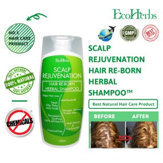 EcoHerbs Scalp Rejuvenation Hair Re Born Herbal Shampoo To Stop Hair Loss Dandruff Oily Scalp Migraine Lice Problem