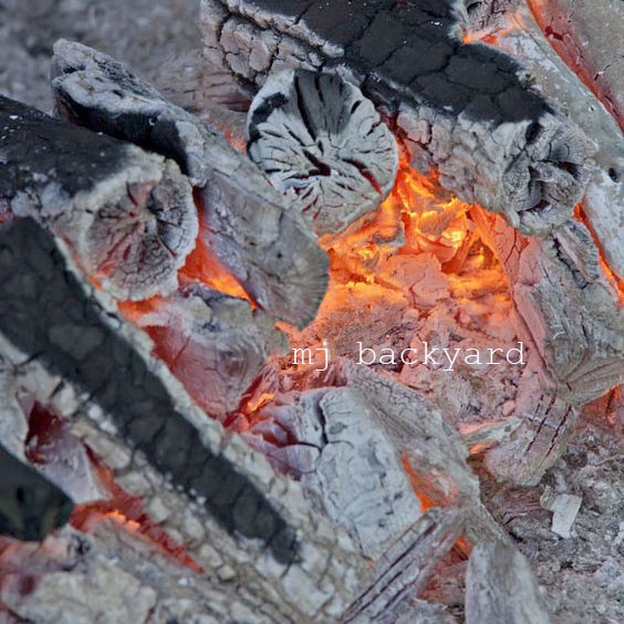 Natural Fertilizer Charcoal Ash Abu Arang Baja Tanaman 500g Shopee