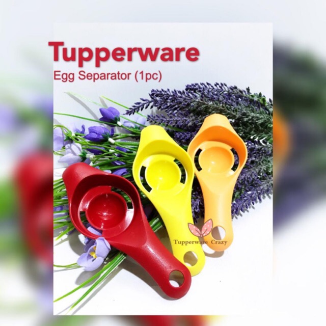 🔥Tupperware Egg Separator (1pc)🔥 Shopee Malaysia