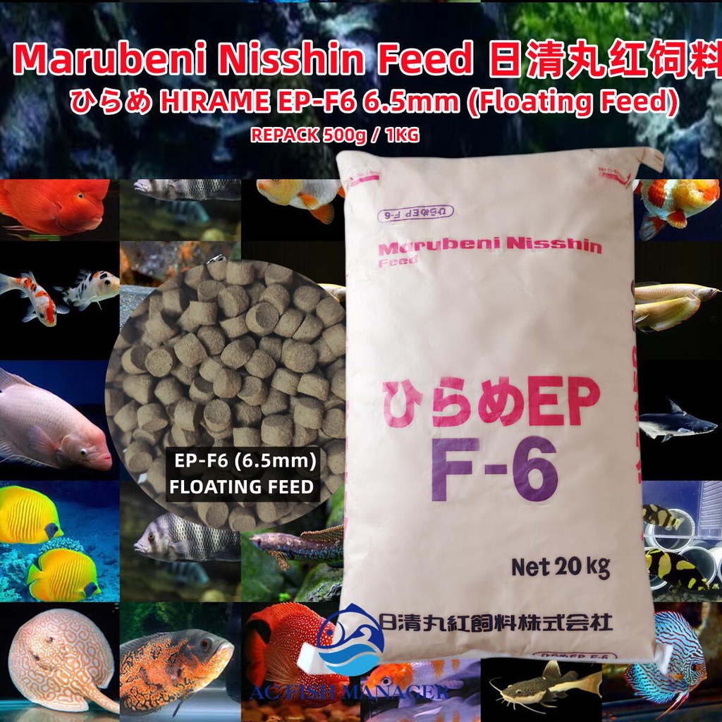 OTOHIME HIRAME EP-F6 400g/0.8KG ( 6.5mm Floating Feed) Repack [Marubeni ...