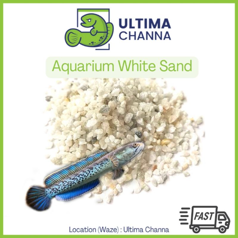 Aquarium White Sand/ Pasir Putih Akuarium 1kg/ 3kg/ 5kg [Ready Stock] [SHIP IN 1DAY] Aquascape