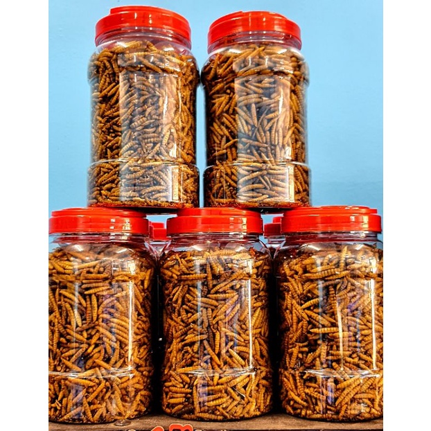 Dried Mealworms 125G Protein Food Mealworm Ulat Roti Kering Sugar