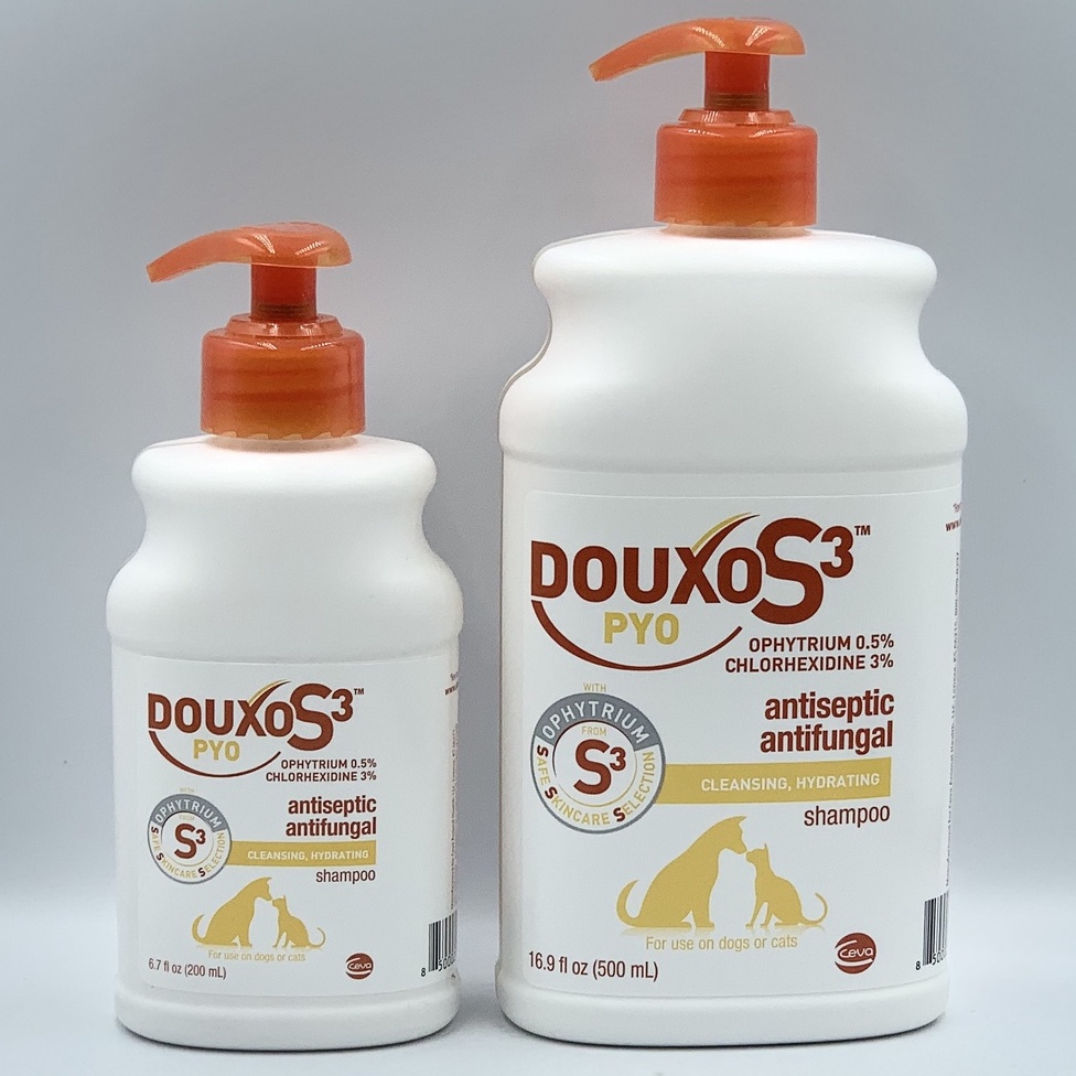 Ceva Douxo S3 PYO latest Douxo 1 Recommended Antifungal Shampoo