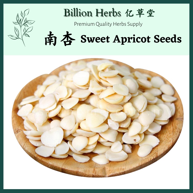 亿草堂 Billion Herbs 南杏 100g Sweet Apricot Seeds / 中药材 Chinese Herbs / 中药 ...