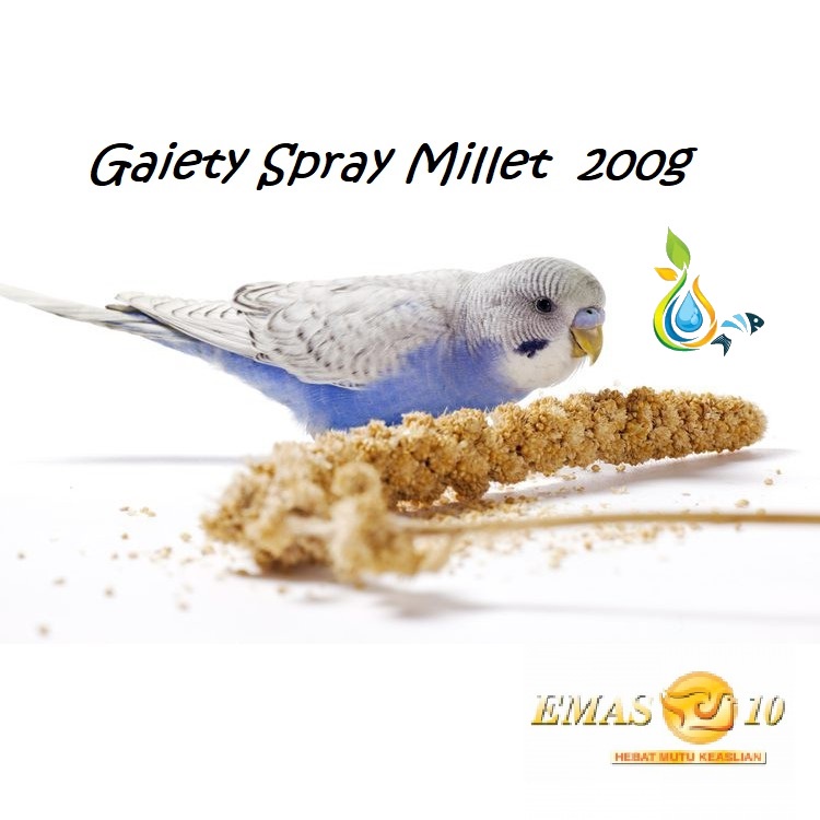 What Is A Millet Spray? Pets On atelieryuwa.ciao.jp