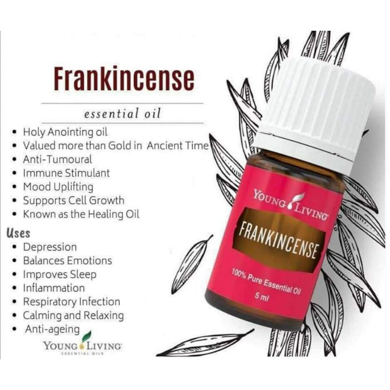 Frankincense Original Young Living 5ml | Shopee Malaysia