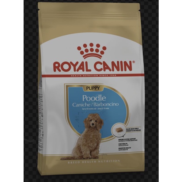 Royal canin poodle outlet puppy dry dog food