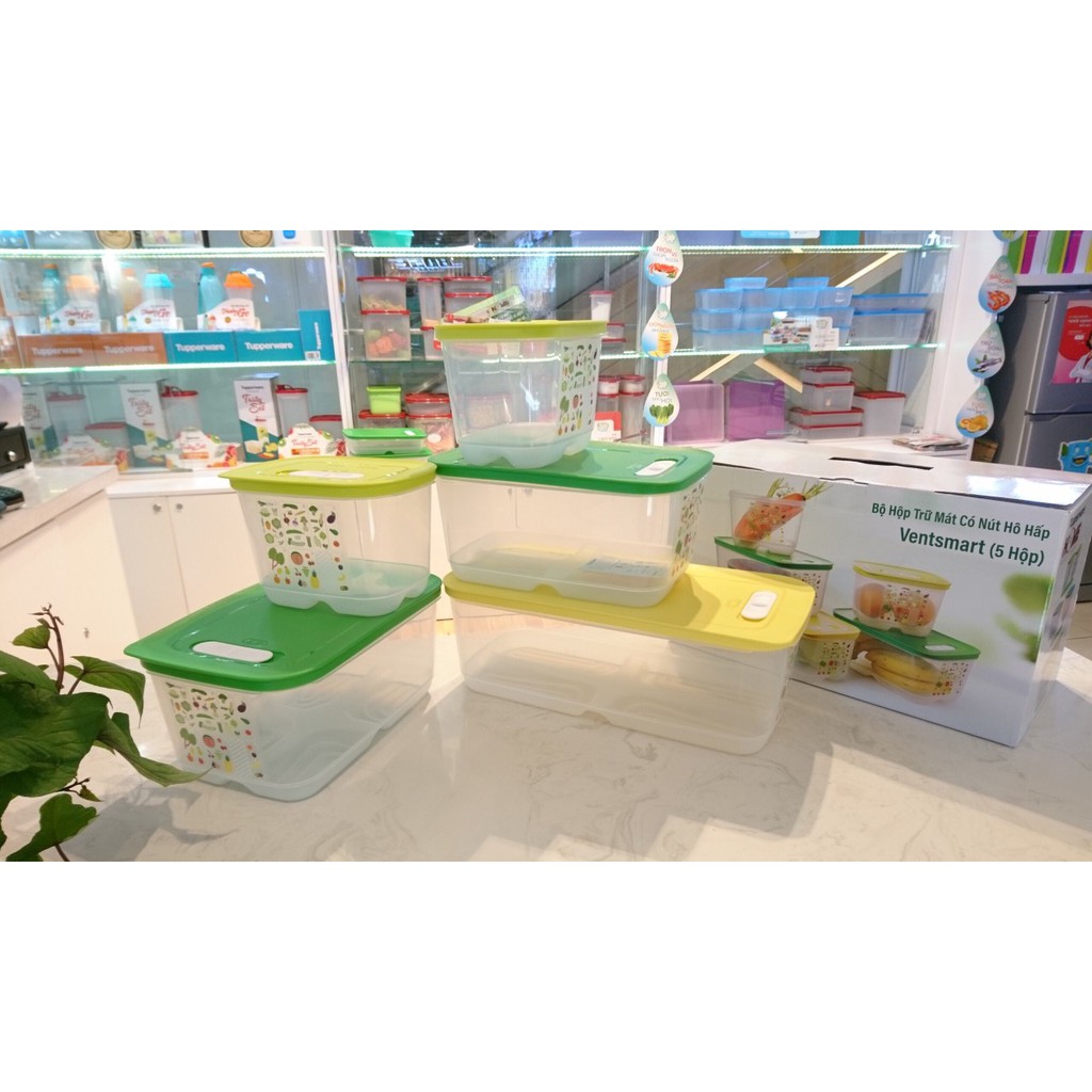 Vensmart cool storage box set (5 boxes) | Shopee Malaysia