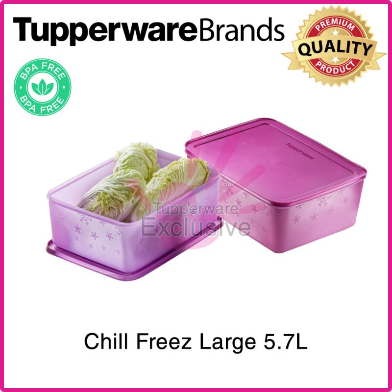 Tupperware Chill Freeze Large 5.7L (1pc) Shopee Malaysia
