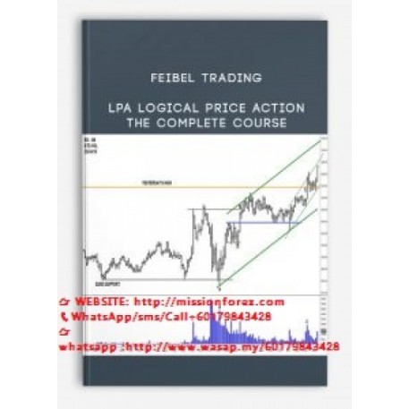 Feibel Trading - LPA Logical Price Action The Complete Course | Shopee ...