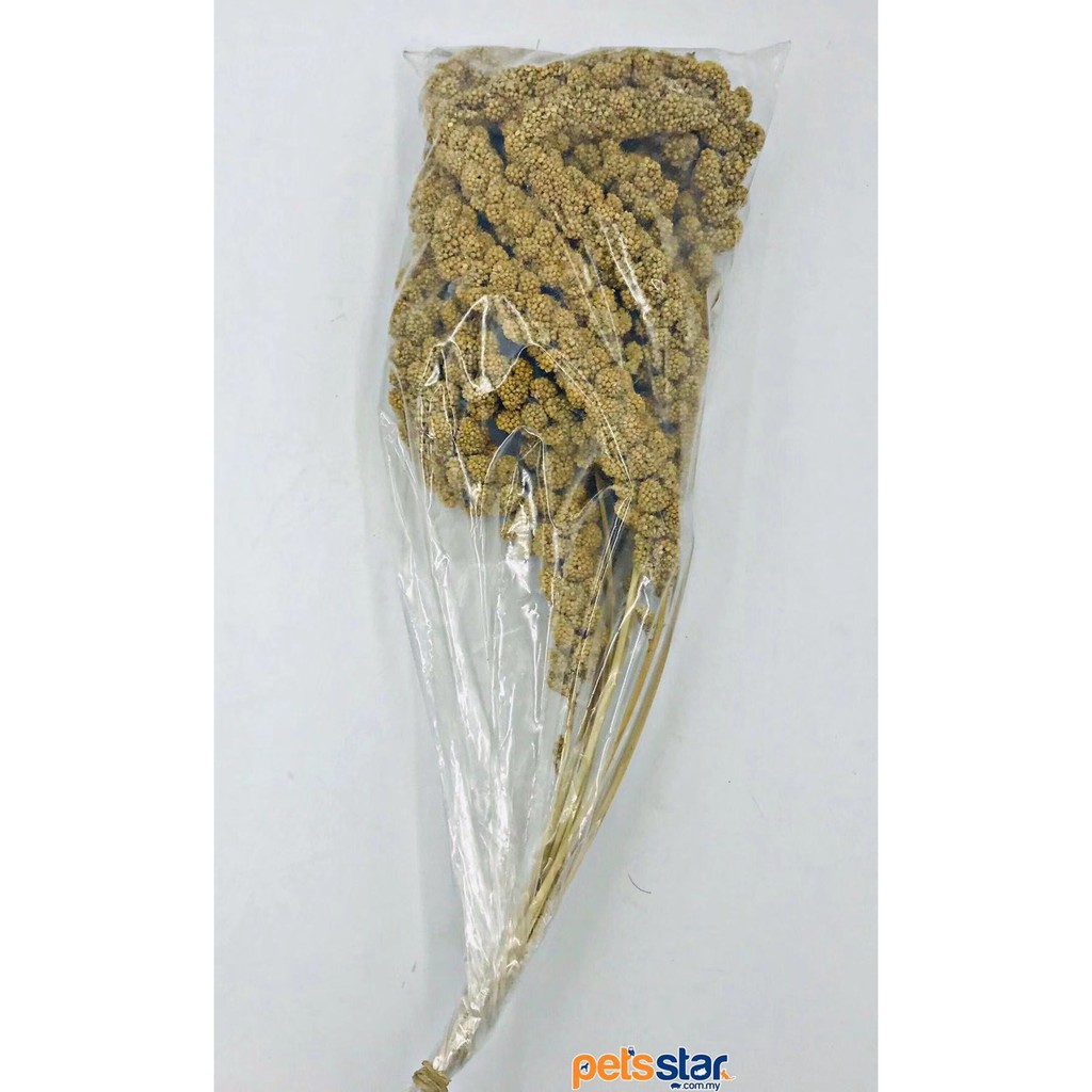 Healthy Select Spray Millet For Bird Hamster Small mammals 200G Shopee Malaysia