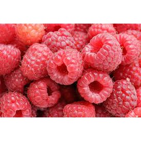 [LIMITED RARE PLANT ][ REAL LIVE ] ANAK BENIH POKOK BUAH RASBERRY ...