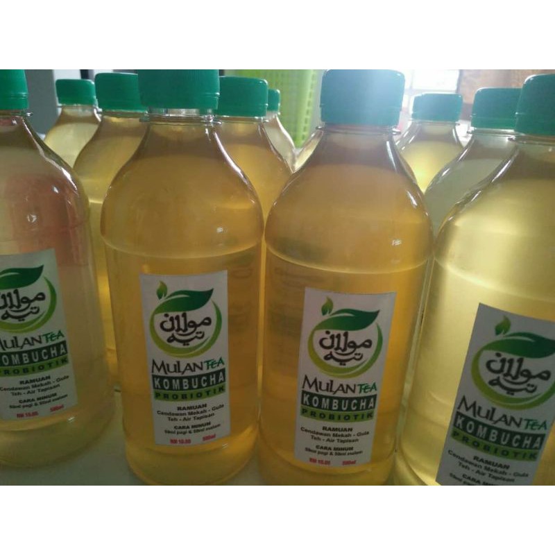 Mulan Tea. Air Minuman Fermentasi Cendawan Mekah. Kombucha Original ...