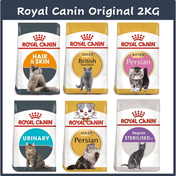 Royal canin best sale british shorthair sterilised