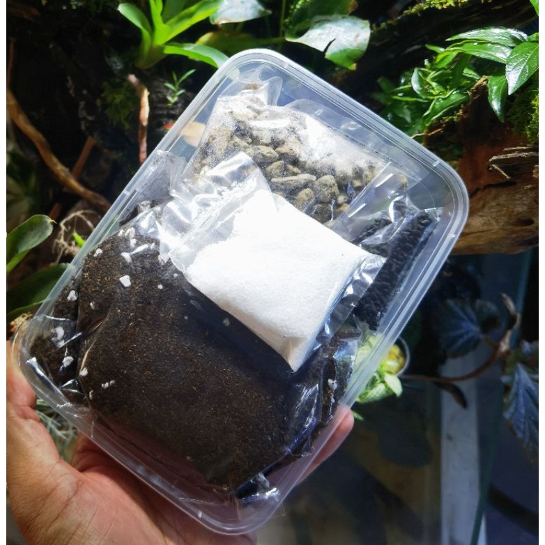 🔥Terrarium Starter Kit🔥 - Terrarium DIY Kit | Shopee Malaysia