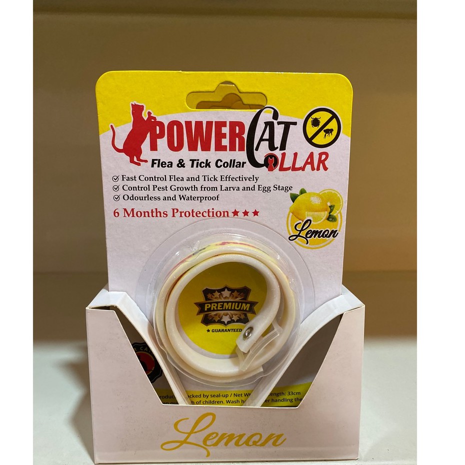 Lemon hotsell cat collar