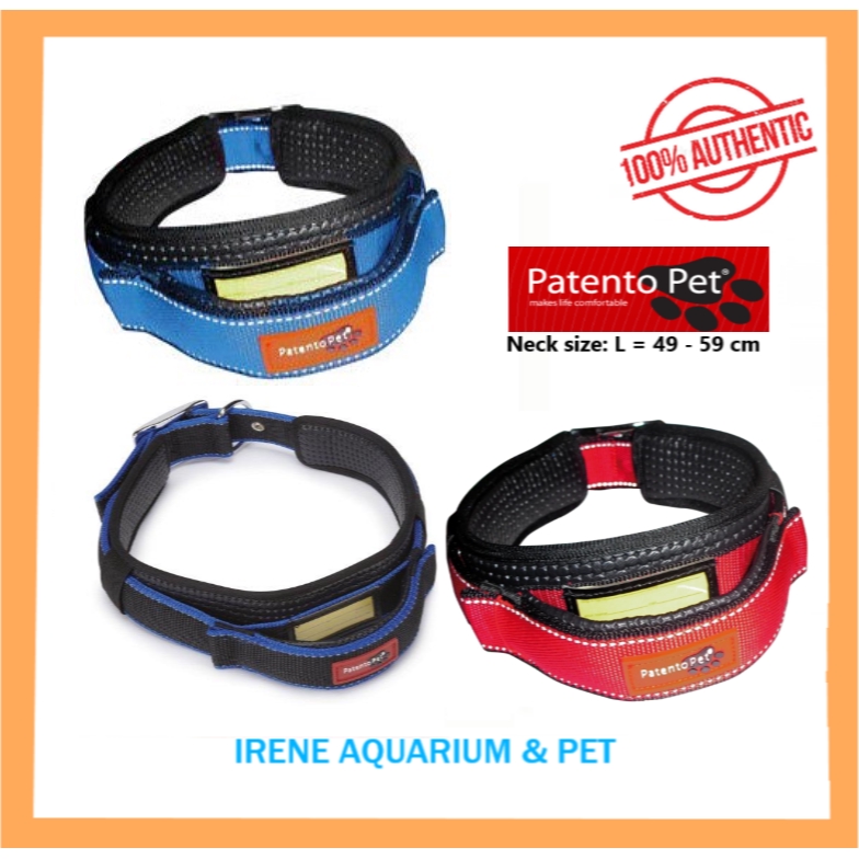 Patento pet collar with integrated cheap leash