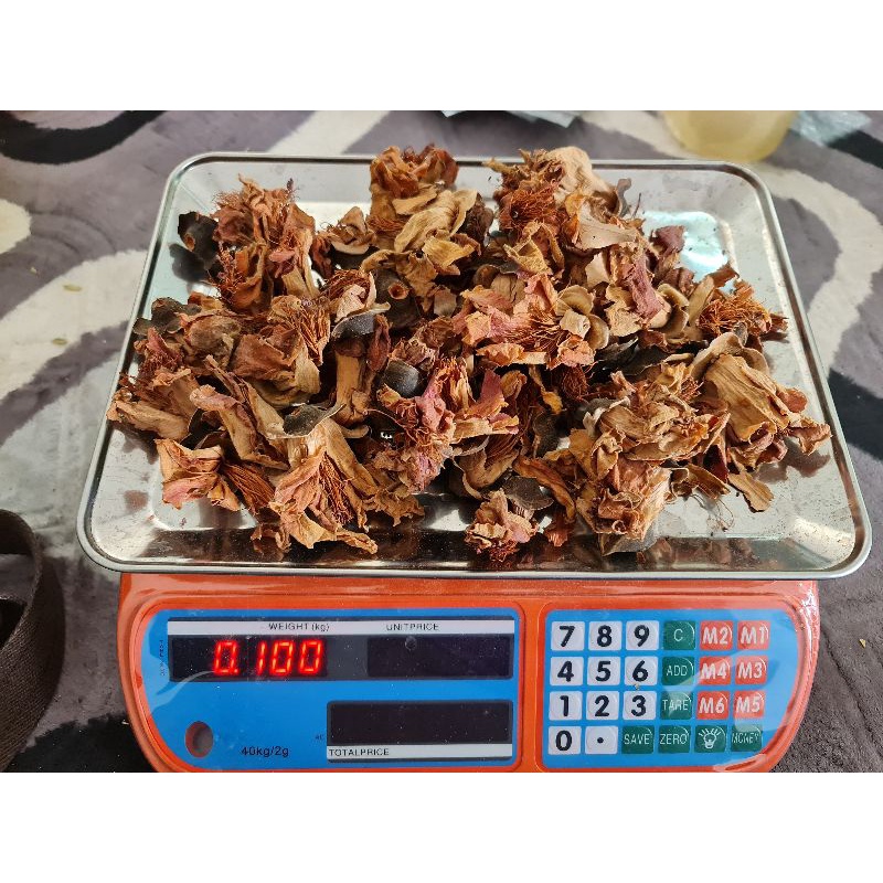 Bunga Mukmin @ Bunga Ratu Pari | Shopee Malaysia