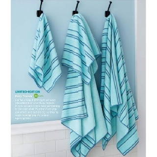 Norwex sea mist stripe new arrivals