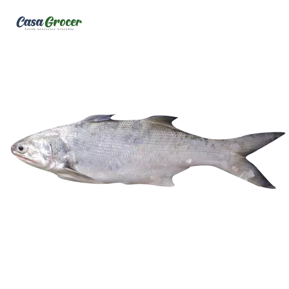 Threadfin/Senangi 马友鱼 (Cleaned) (Casagrocer) | Shopee Malaysia