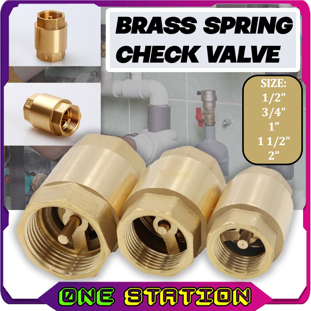 One Way Valve Spring Valve Check Valve Non Return Valve Brass Valve
