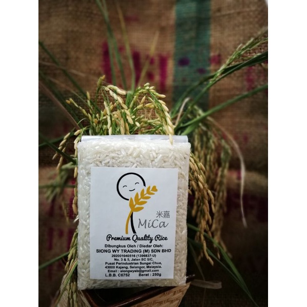 MiCa Super Import Rice / 超级白米 250g Vacuum pack真空包装 | Shopee Malaysia