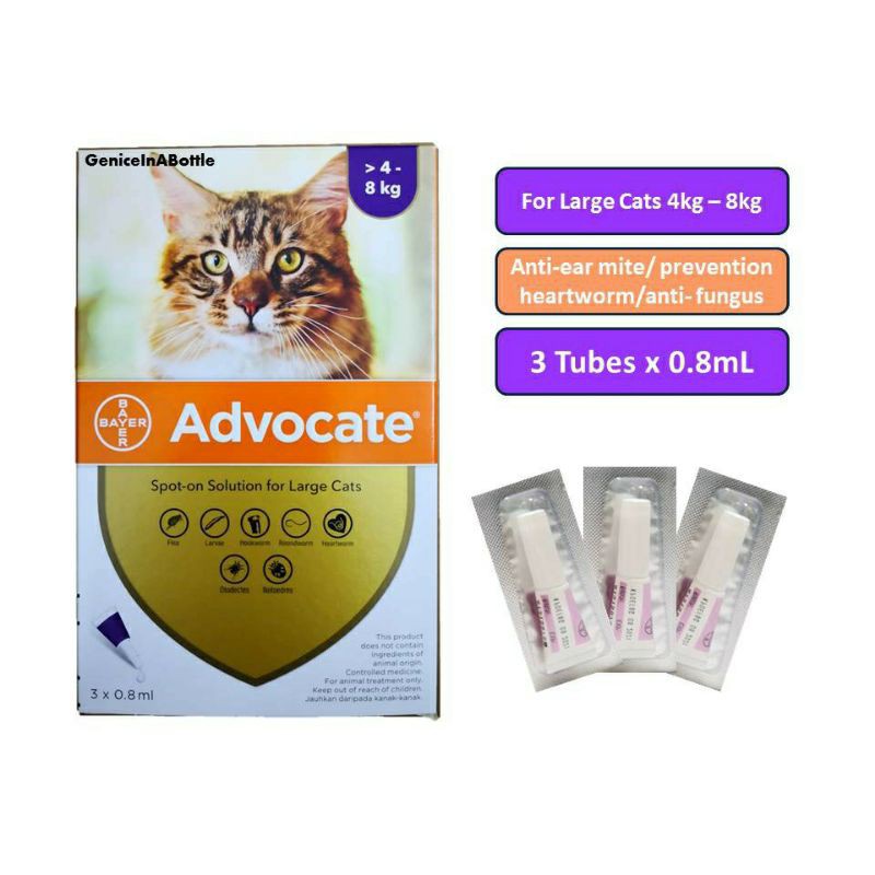 Bayer cat outlet flea medicine