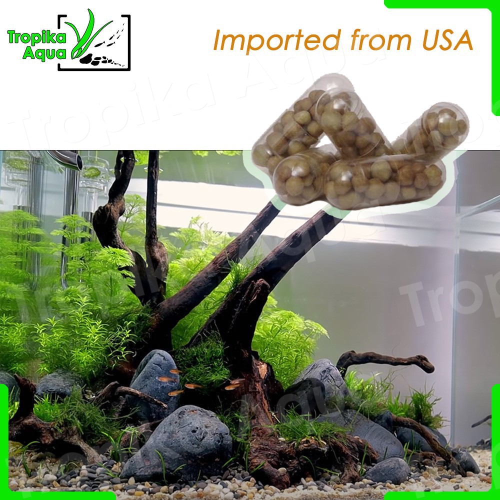 Root Tabs Fertilizer Aquarium Plants Imported from USA Shopee Malaysia