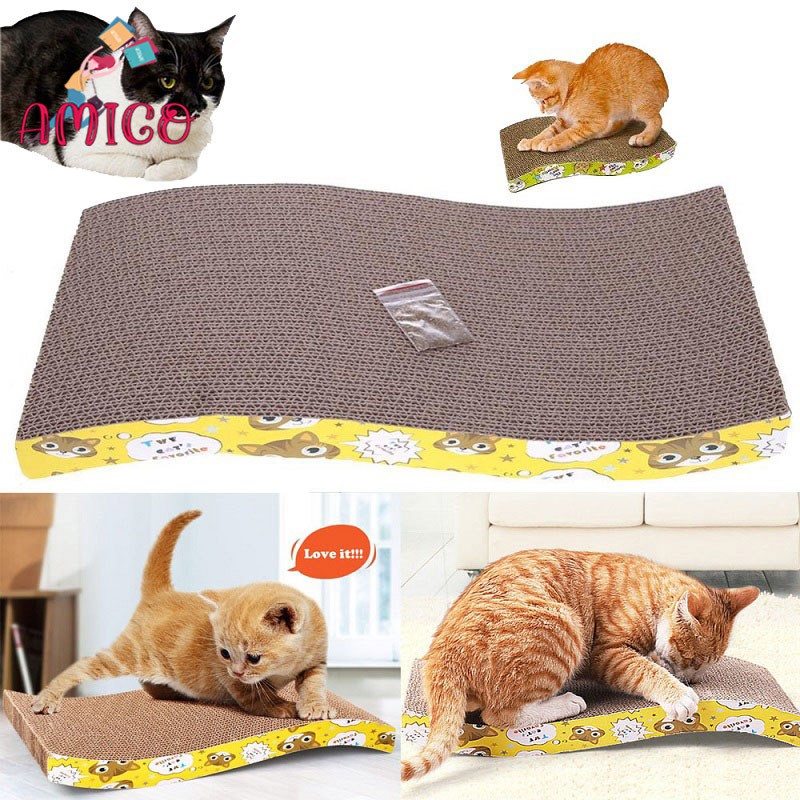 Flat cat 2024 scratching board