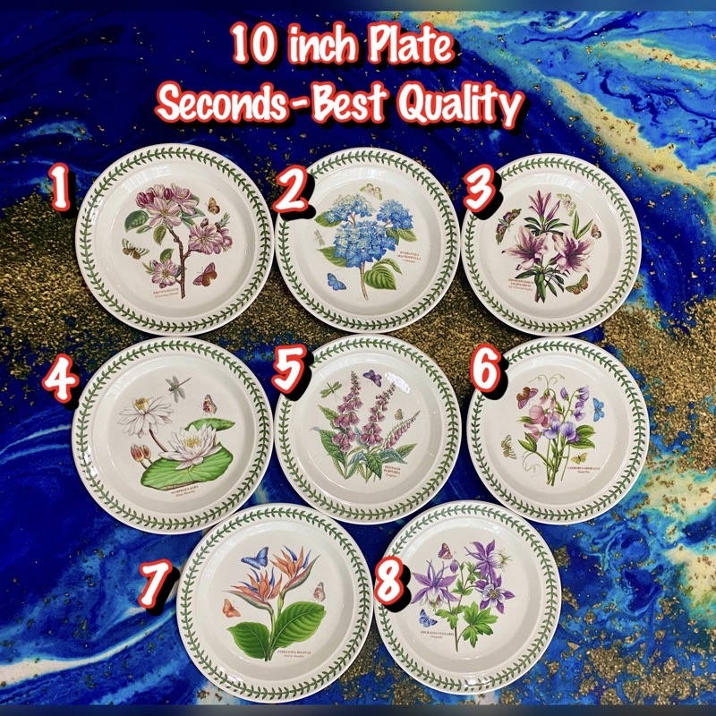 🔥CLEARANCE RENOVATION🔥 10 inch Plate~ (Best Quality) with gift | Shopee ...