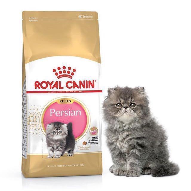 Royal canin hotsell persian kitten 4kg