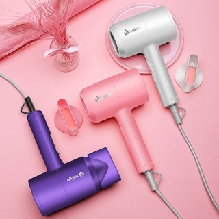 Hair Dryer IONIC网红款静音护发负离子吹风筒| Shopee Malaysia