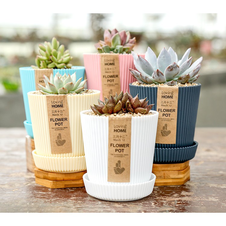 LINEAR PVC POT WITH TRAY / FLOWER POT / DESIGNER POT / LINING DESIGN ...