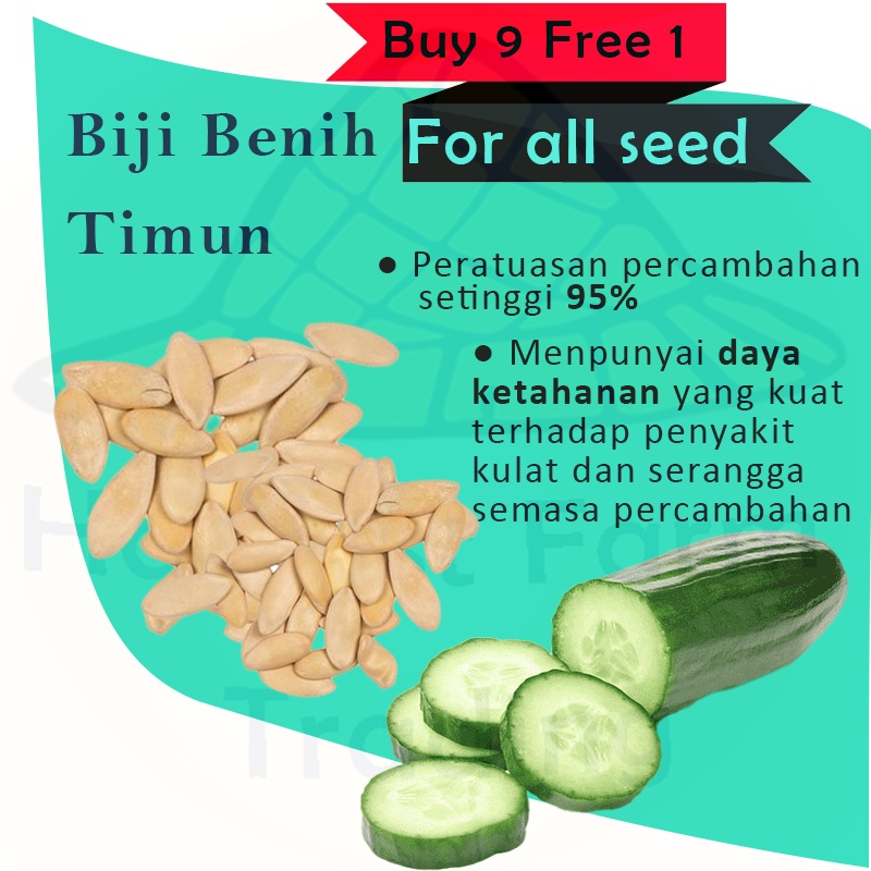 biji-benih-timun-hijau-10-biji-vegetable-seed-cucumber-cucumber