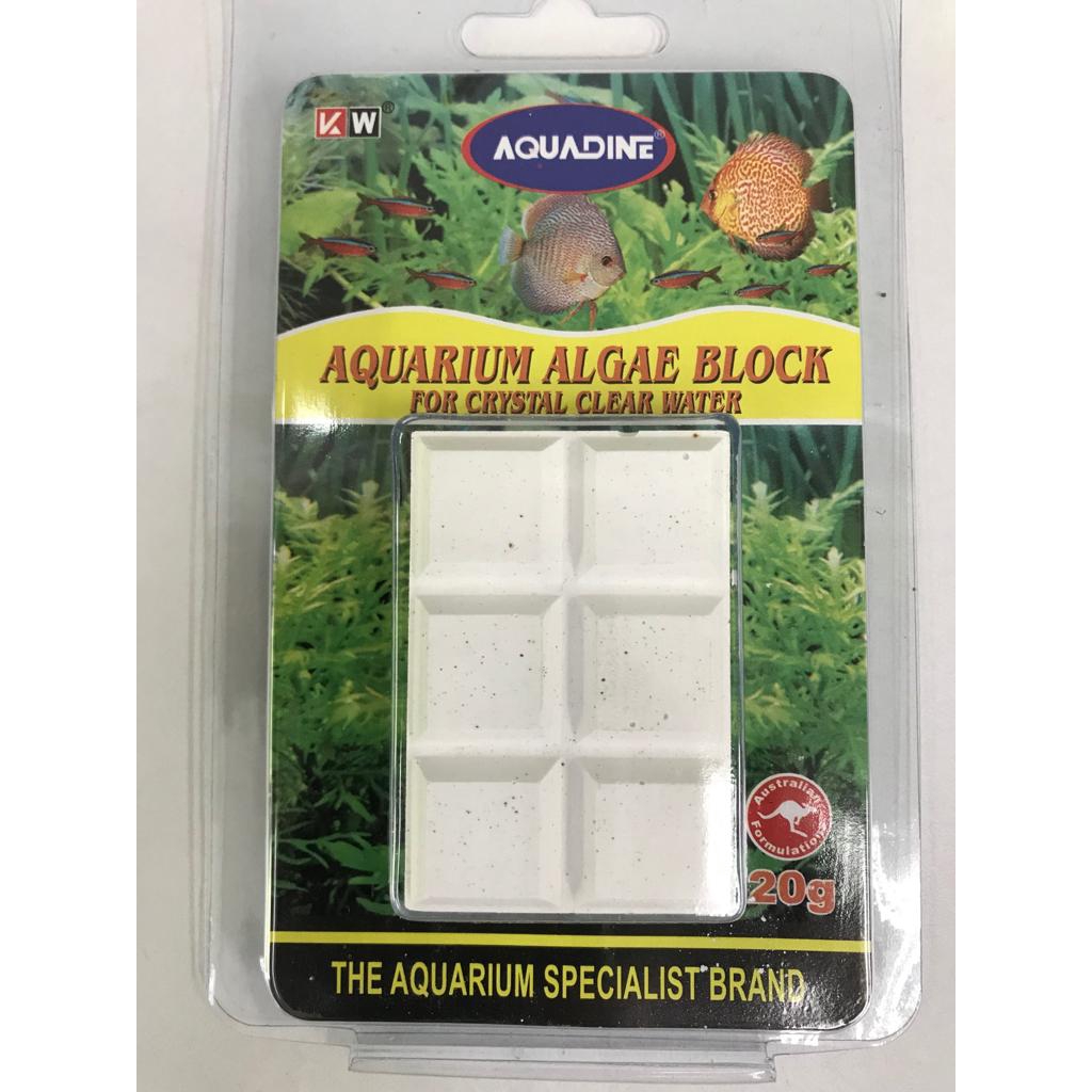 Aquadine Aquarium Algae Block 20g | Shopee Malaysia