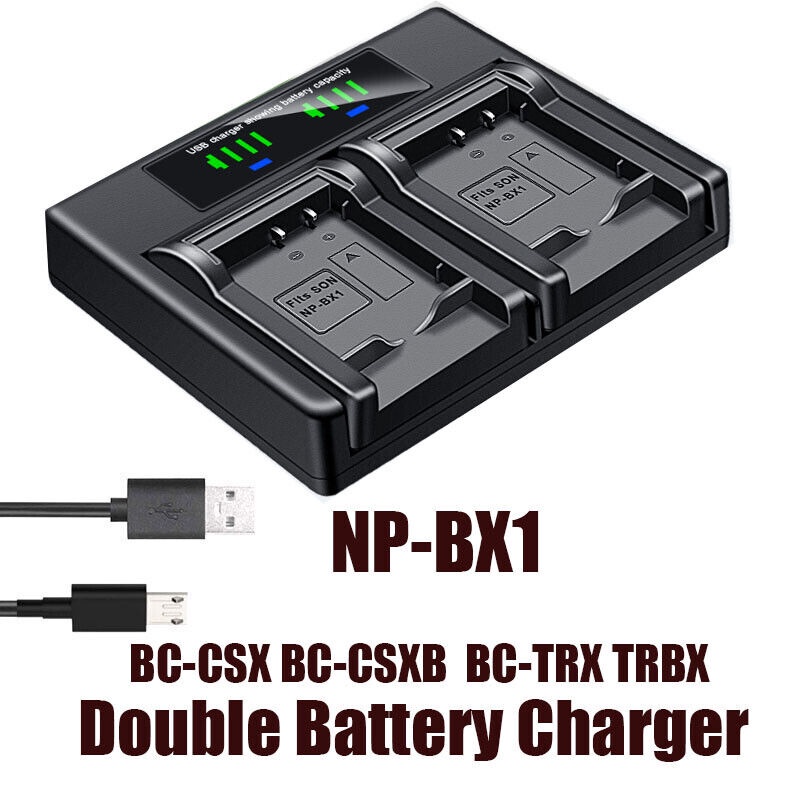 Dual Battery Charger For Sony NPBX1 FDRX1000V X3000 HDRAS10 AS100V