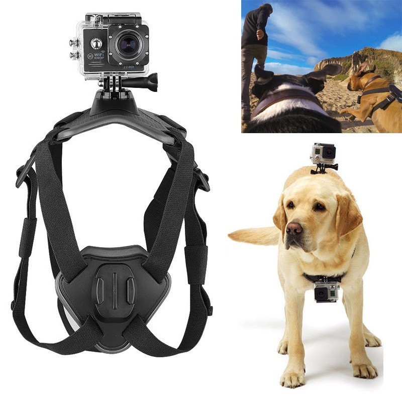 GoPro Harness Back + Chest Strap Mount for Hound Dog PET Elastic Belt ...