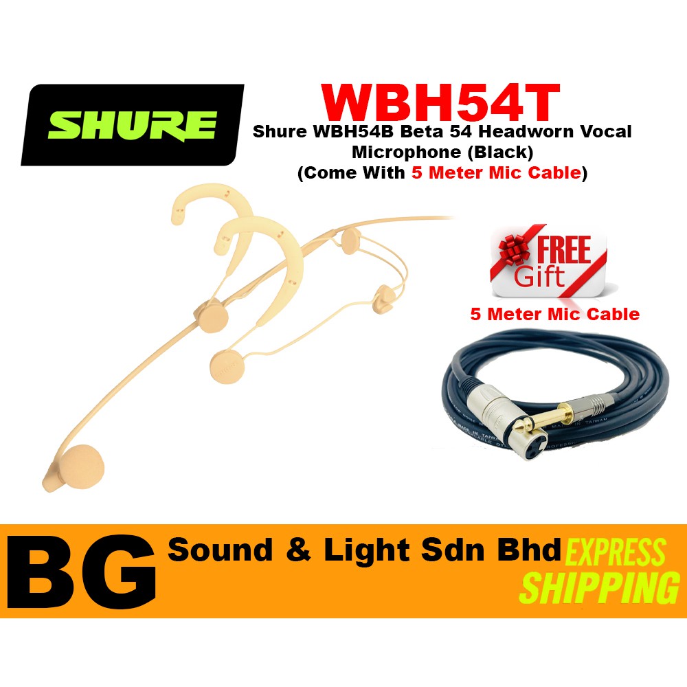 Shure best sale beta 54