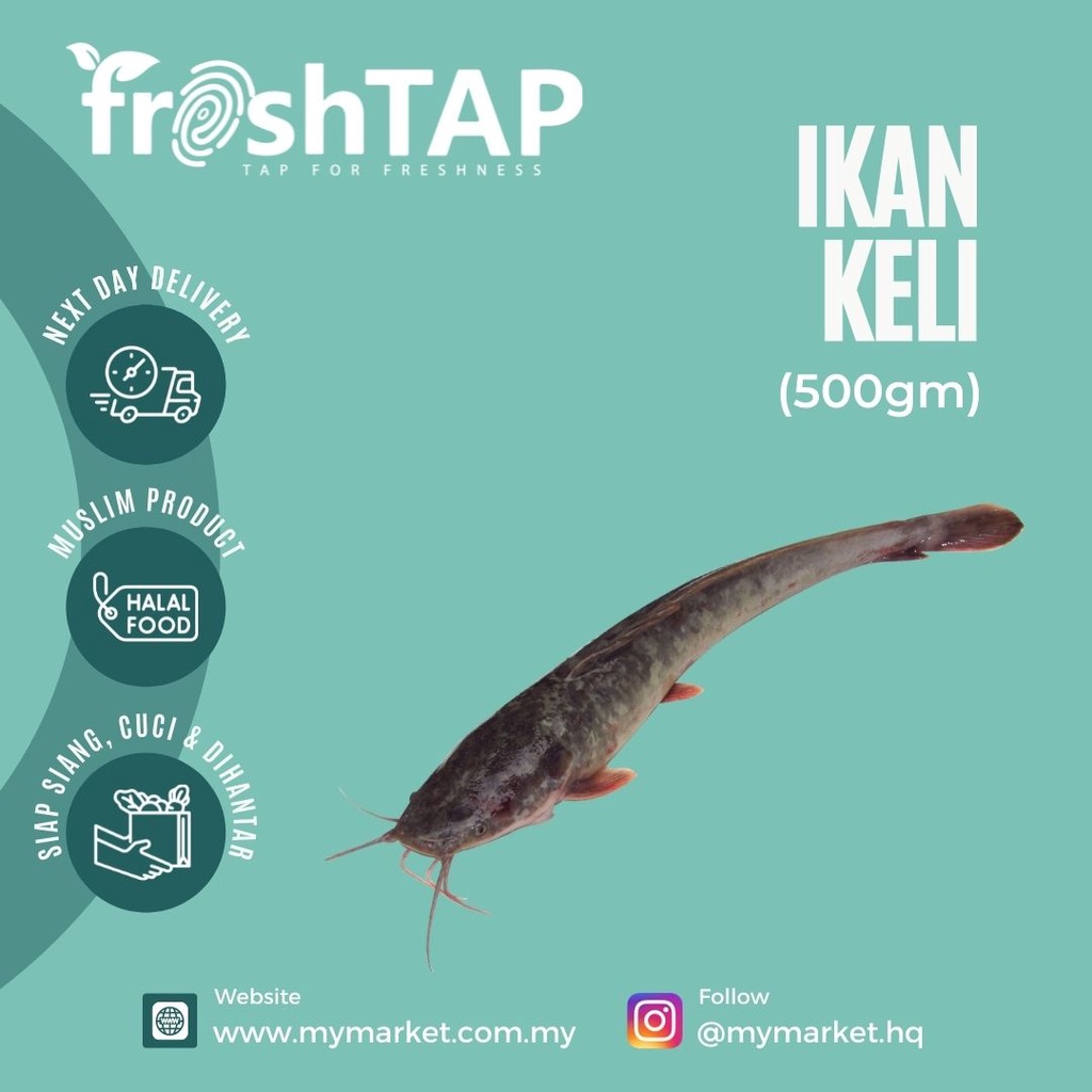 Ikan Keli / Catfish (500gm) Shopee Malaysia