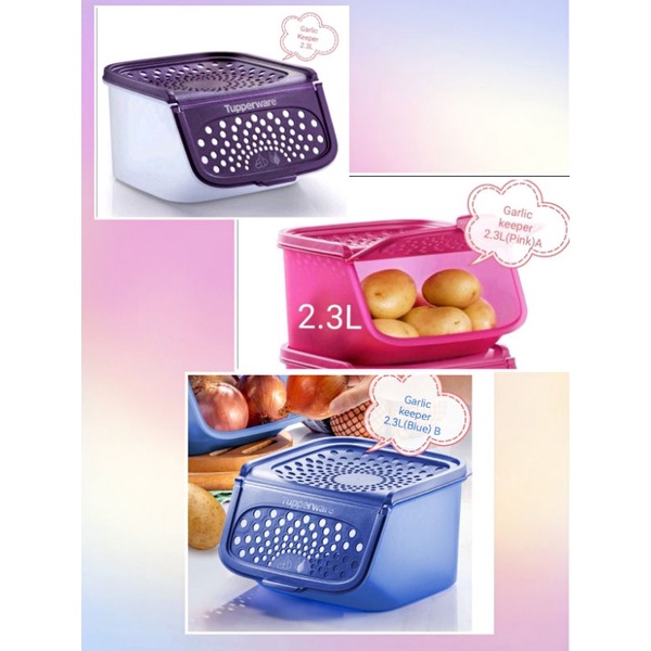 Tupperware Garlic N All Keeper 2.3L