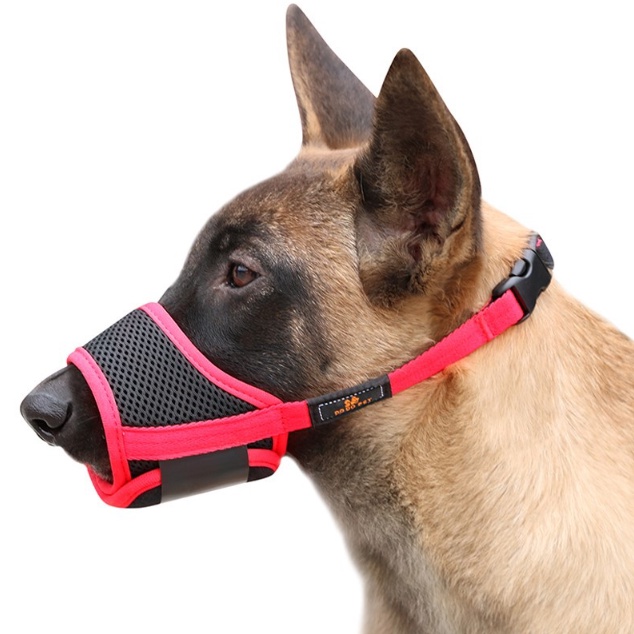 Mouth guard outlet for barking dogs