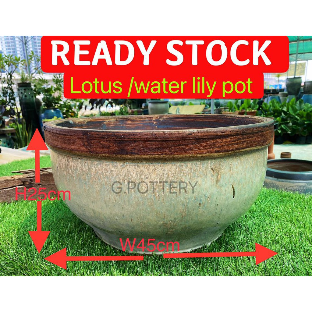 [Ready stock] POT lotus / water lily / water plant pasu teratai garden ...