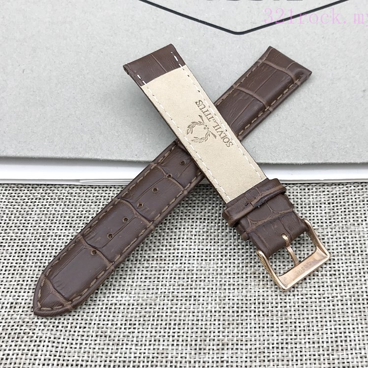 Solvil et 2024 titus watch strap